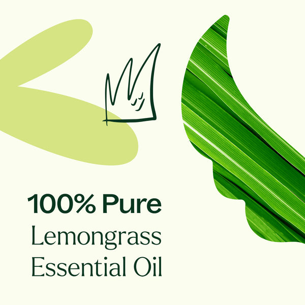 Plant Therapy Organic Lemongrass Essential Oil
