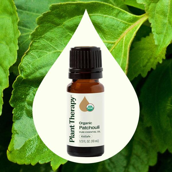 Plant Therapy Organic Patchouli Essential Oil