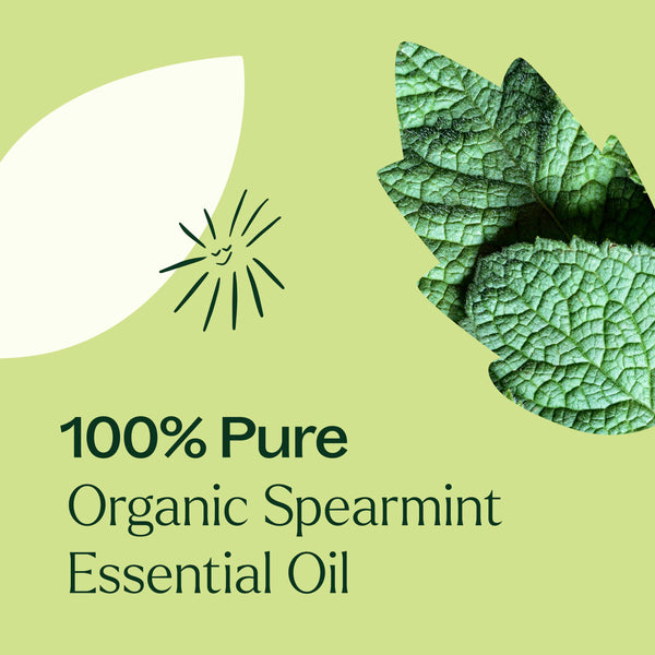 Plant Therapy Organic Spearmint Essential Oil