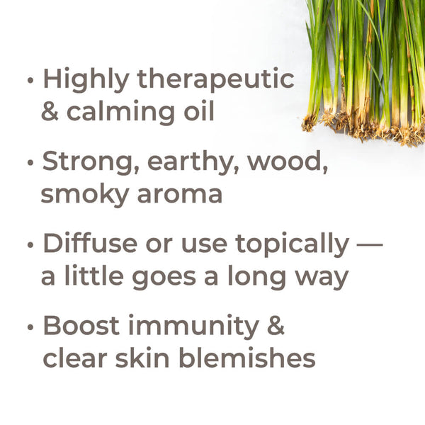 Plant Therapy Organic Vetiver Essential Oil