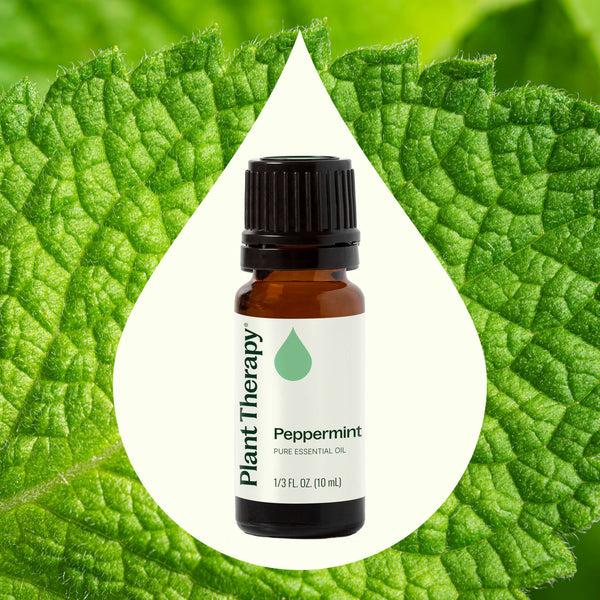 Plant Therapy Peppermint Essential Oil