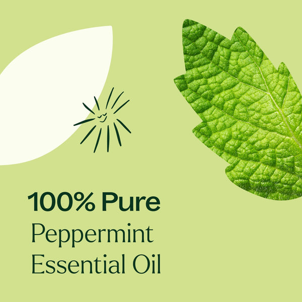 Plant Therapy Peppermint Essential Oil