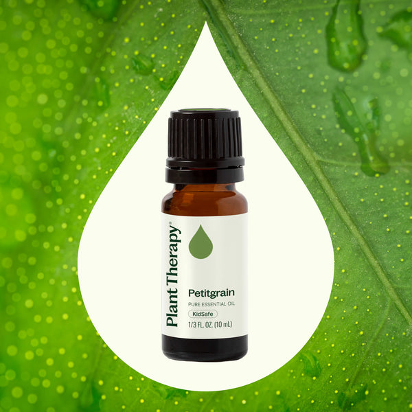 Plant Therapy Petitgrain Essential Oil