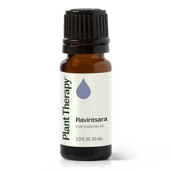 plant therapy Ravintsara Essential Oil