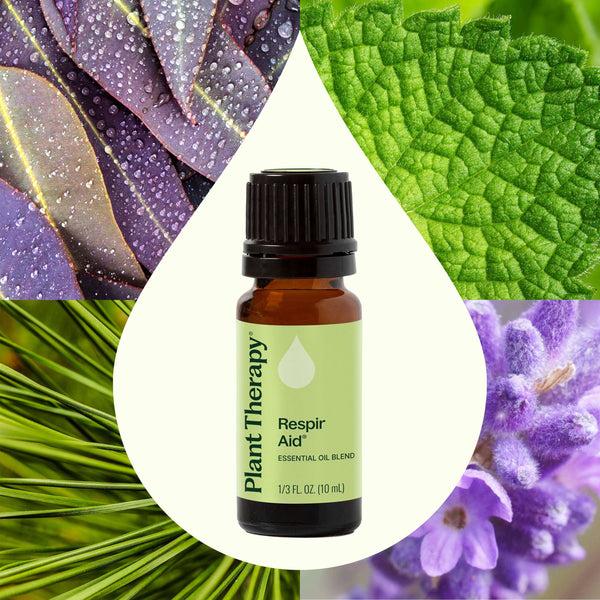 Plant Therapy Respir Aid Essential Oil Blend