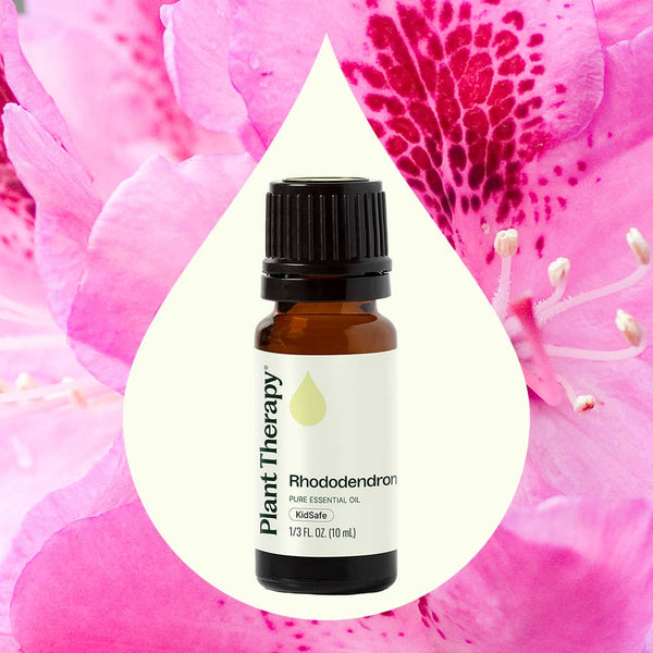 Plant Therapy Rhododendron Essential Oil