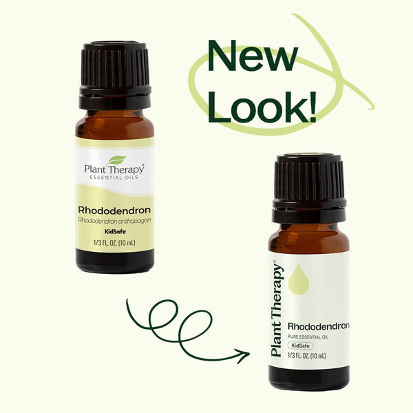 Plant Therapy Rhododendron Essential Oil