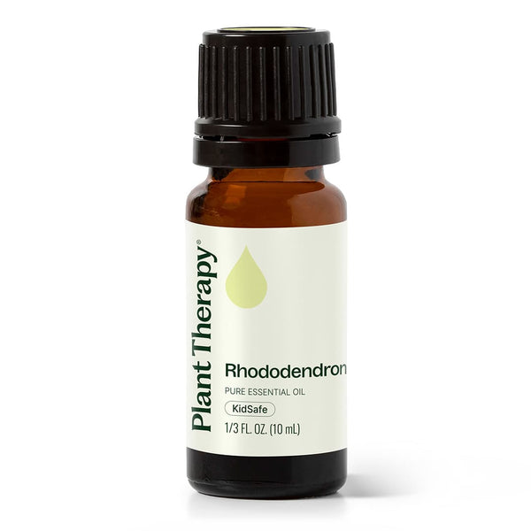 plant therapy Rhododendron Essential Oil