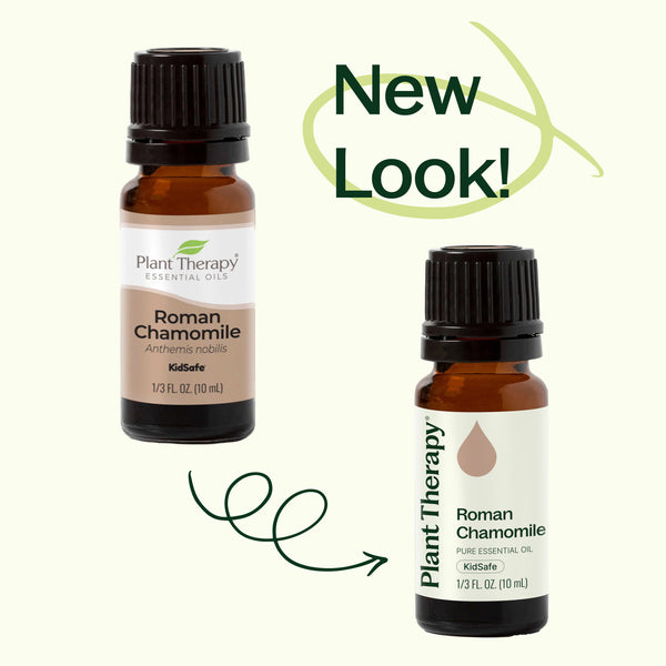 Plant Therapy Roman Chamomile Essential Oil