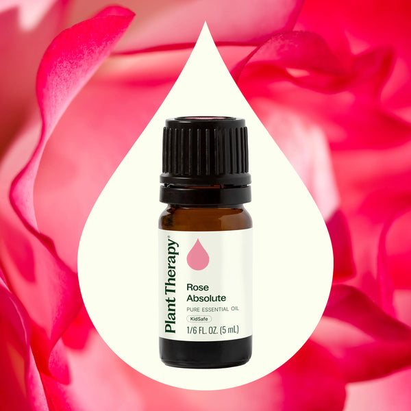 Plant Therapy Rose Absolute Essential Oil