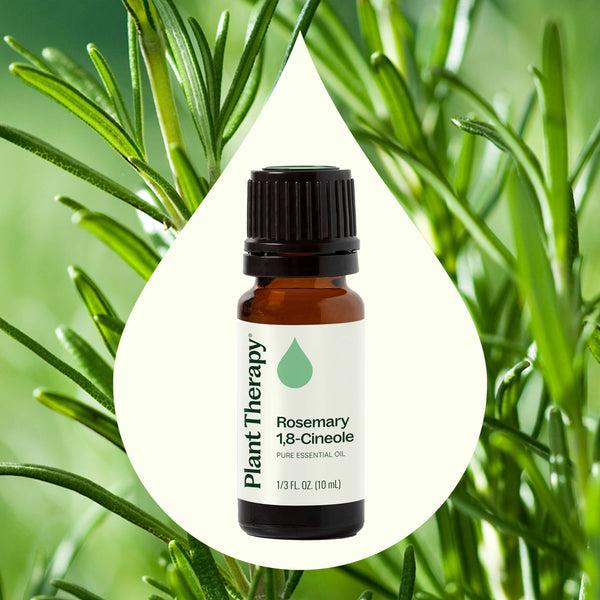Plant Therapy Rosemary 1 8-Cineole Essential Oil