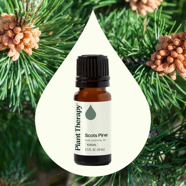 Plant Therapy Scots Pine Essential Oil