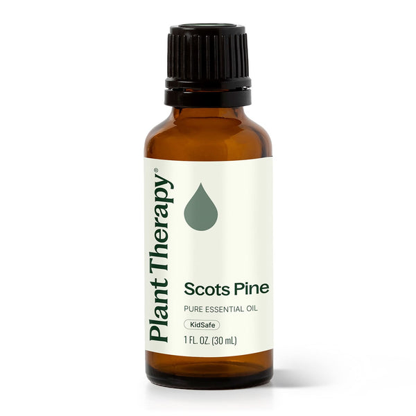 Plant Therapy Scots Pine Essential Oil