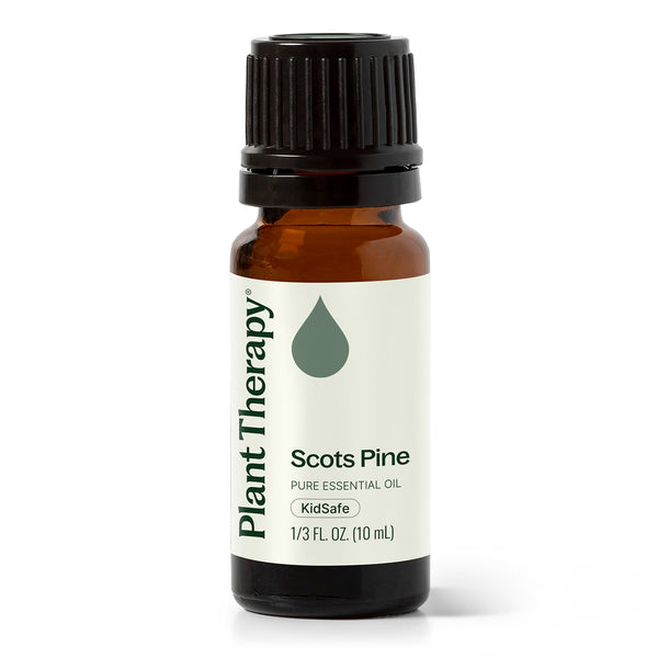 plant therapy Scots Pine Essential Oil