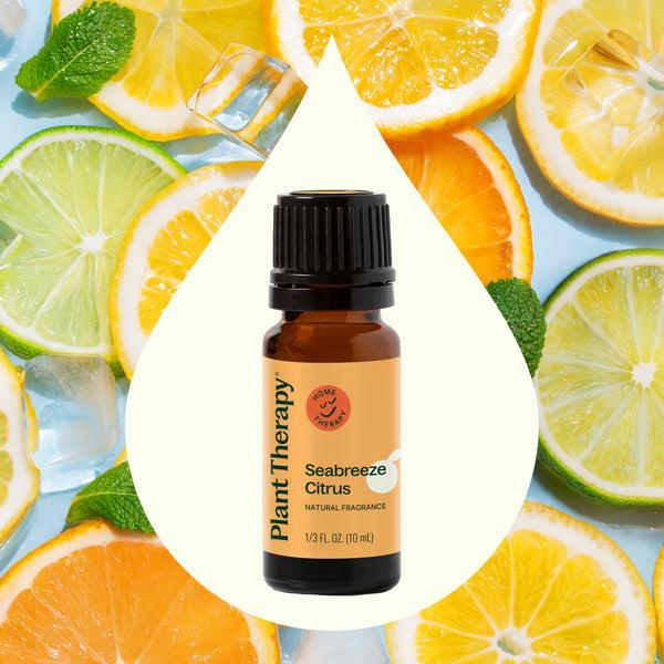 Plant Therapy Seabreeze Citrus Natural Fragrance