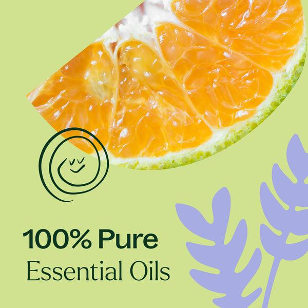 Plant Therapy Sleep Tight Essential Oil Blend