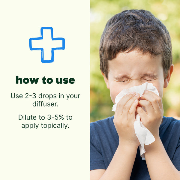 Plant Therapy Sniffle Stopper Essential Oil