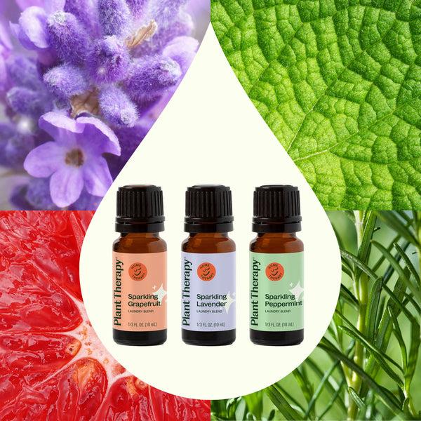 Plant Therapy Sparkling Laundry Blends Set