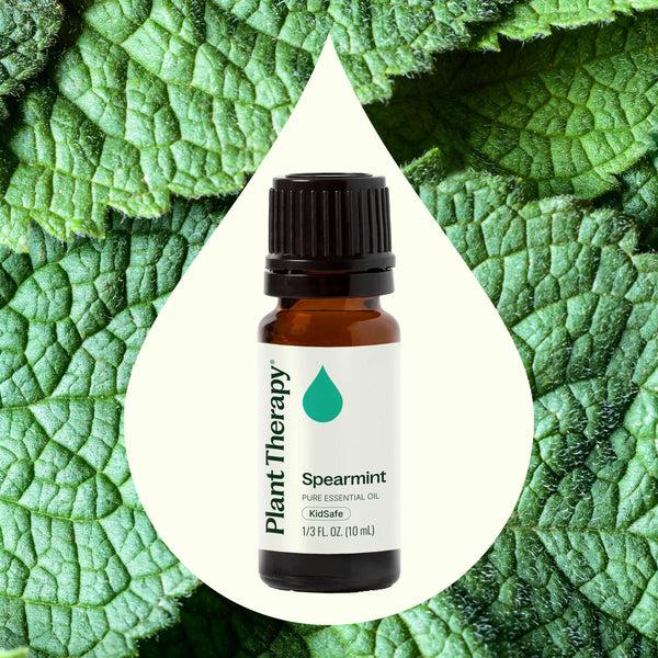 Plant Therapy Spearmint Essential Oil