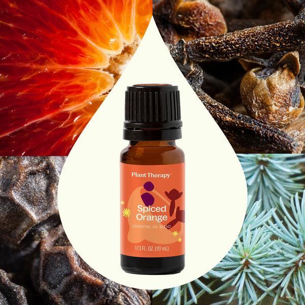 Plant Therapy Spiced Orange Essential Oil Blend