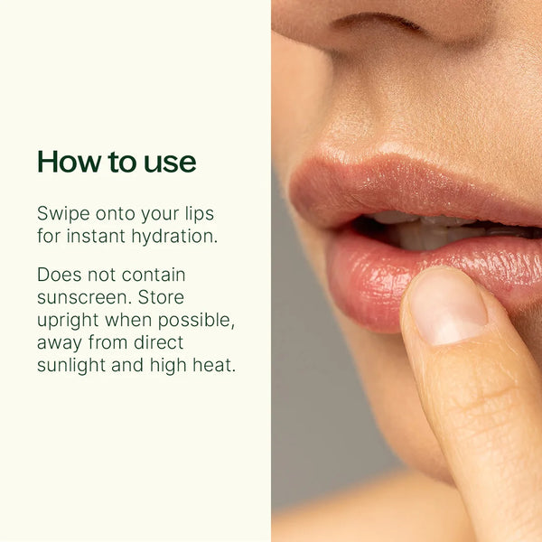 Plant Therapy Sugar & Spice Lip Balm Trio Set