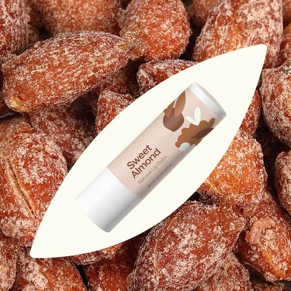 Plant Therapy Sweet Almond Natural Lip Balm