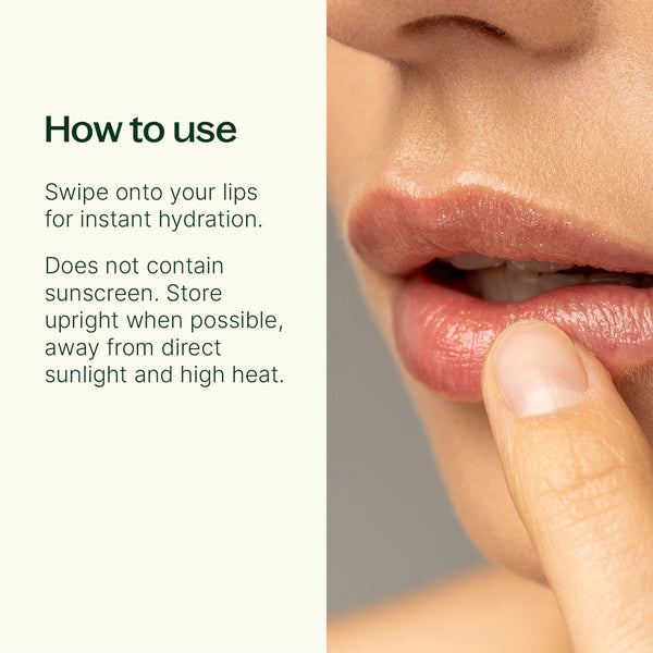 Plant Therapy Sweet Almond Natural Lip Balm