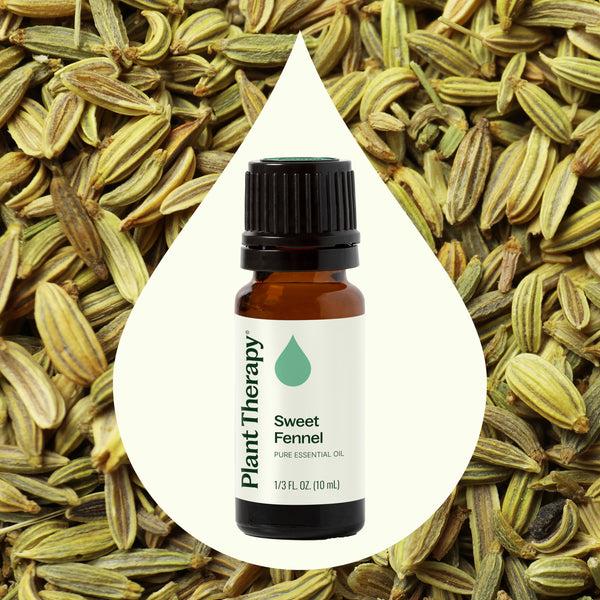 Plant Therapy Sweet Fennel Essential Oil
