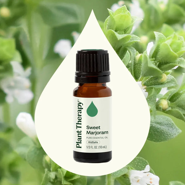 Plant Therapy Sweet Marjoram Essential Oil