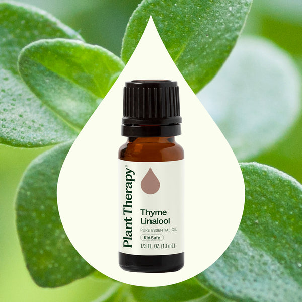 Plant Therapy Thyme Linalool Essential Oil