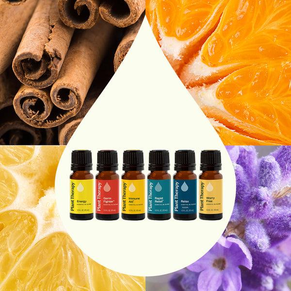Plant Therapy Top 6 Blends Set