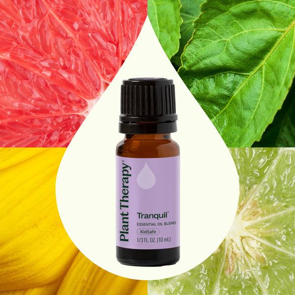 Plant Therapy Tranquil Essential Oil Blend