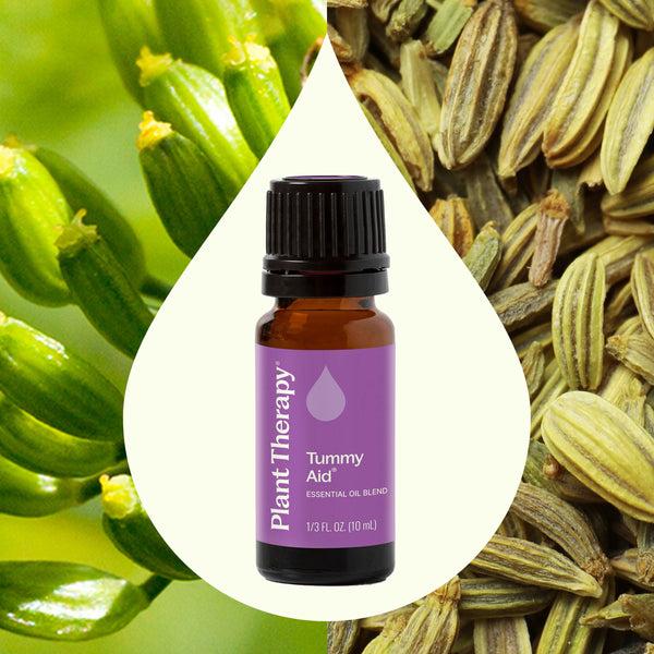 Plant Therapy Tummy Aid Essential Oil Blend