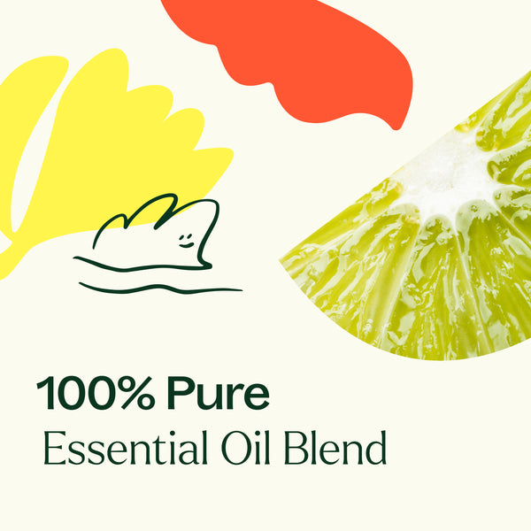 Plant Therapy Unwind Essential Oil Blend