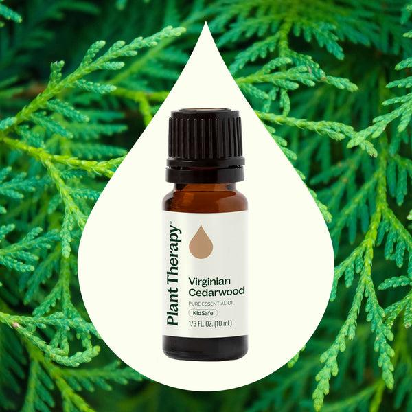 Plant Therapy Virginian Cedarwood Essential Oil