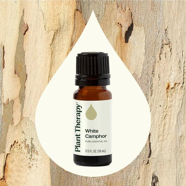 Plant Therapy White Camphor Essential Oil