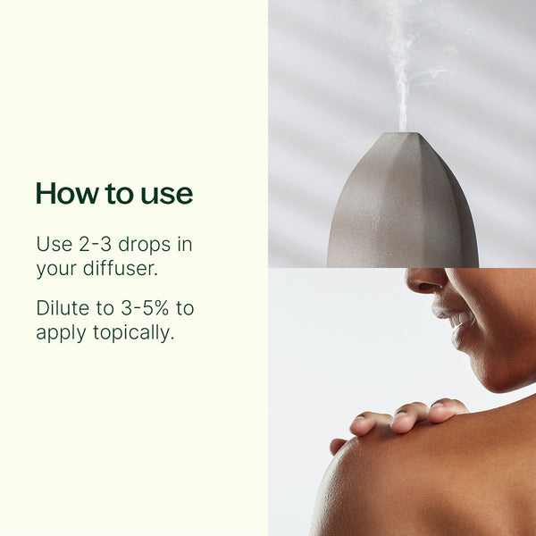 Plant Therapy White Camphor Essential Oil