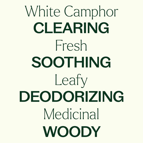 Plant Therapy White Camphor Essential Oil