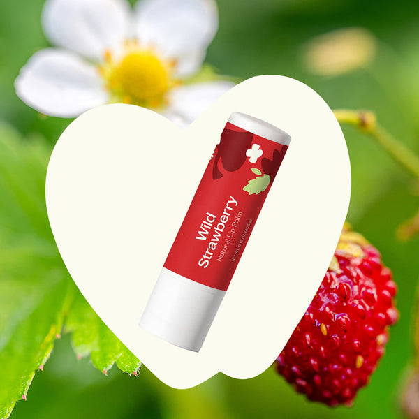 Plant Therapy Wild Strawberry Natural Lip Balm