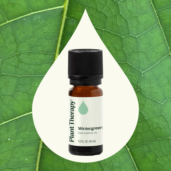 Plant Therapy Wintergreen Essential Oil
