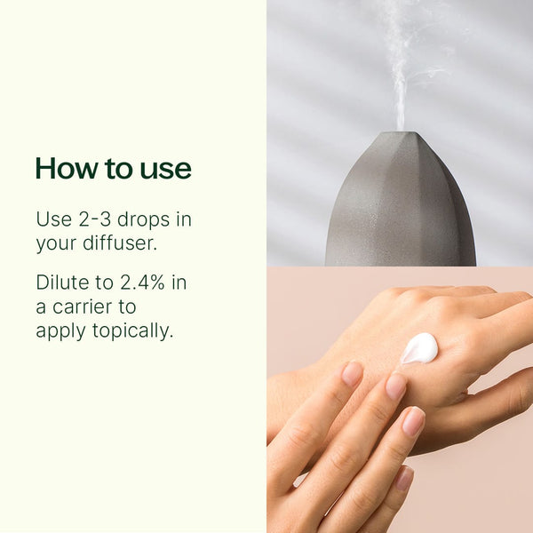 Plant Therapy Wintergreen Essential Oil