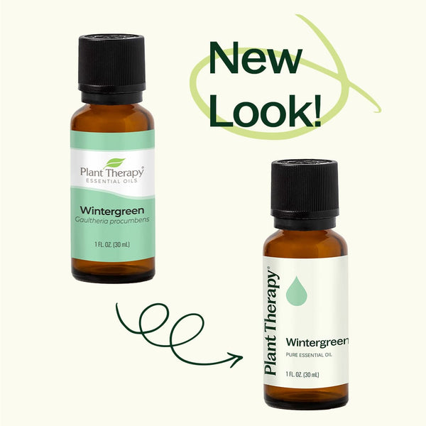 Plant Therapy Wintergreen Essential Oil