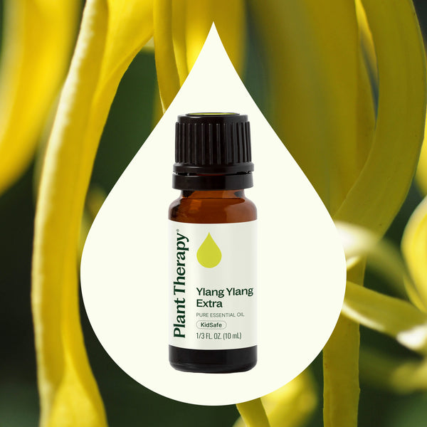 Plant Therapy Ylang Ylang Extra Essential Oil