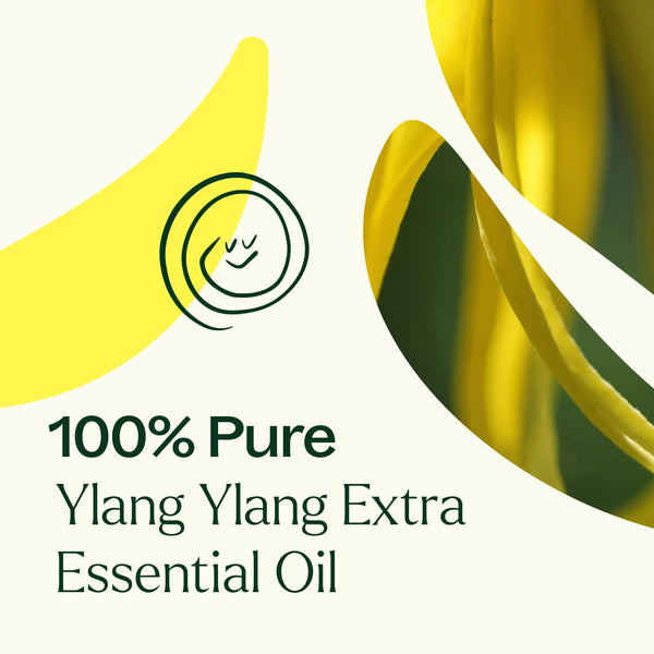 Plant Therapy Ylang Ylang Extra Essential Oil