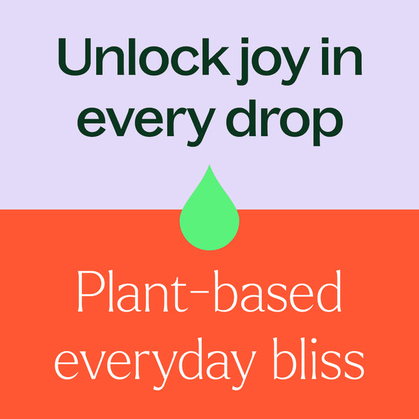 Plant Therapy Pumpkins & Porch Swings Essential Oil Blend 3 Set