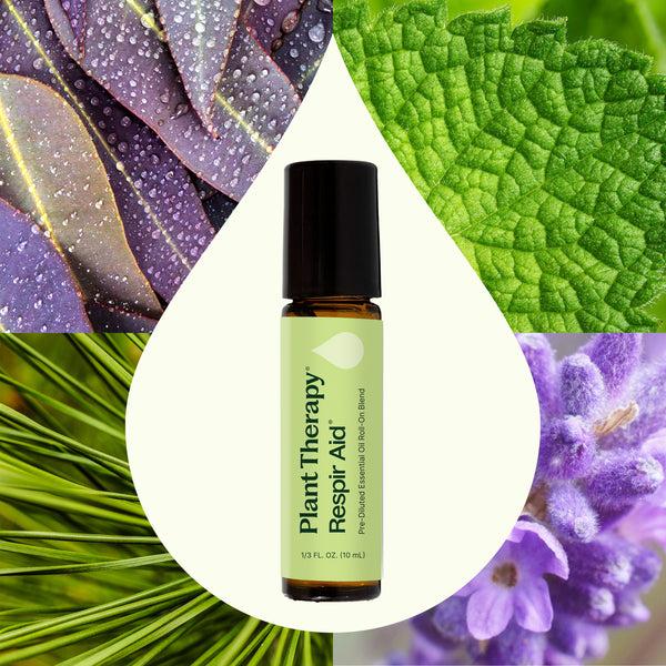 Plant Therapy Respir Aid Essential Oil Blend Pre-Diluted Roll-On