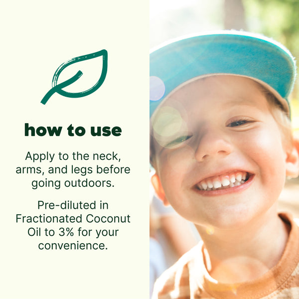 Plant Therapy Shield Me Essential Oil Pre-Diluted Roll-On