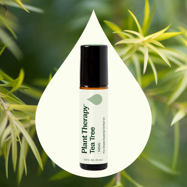 Plant Therapy Tea Tree Essential Oil Pre-Diluted Roll-On