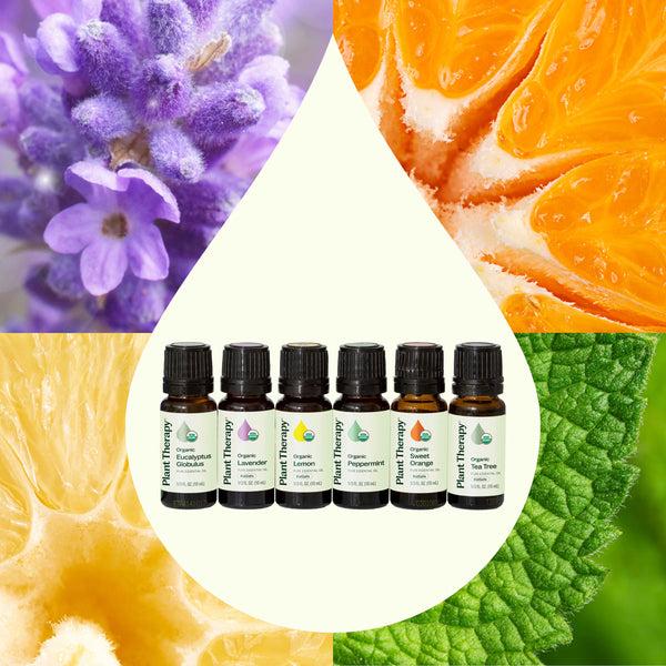 Plant Therapy Top 6 Organic Singles Essential Oil Set