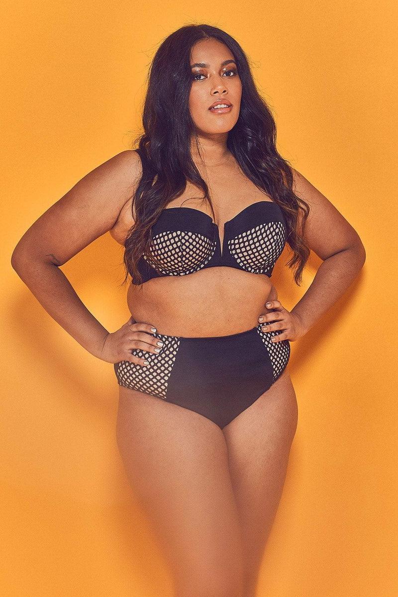 playful promises Cyra Fishnet Panel Bikini Brief Curve